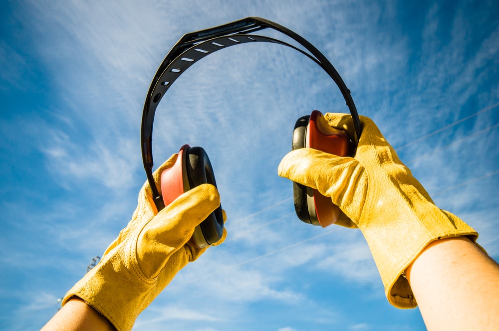 Hearing Loss – Don’t Go Deaf For a Living