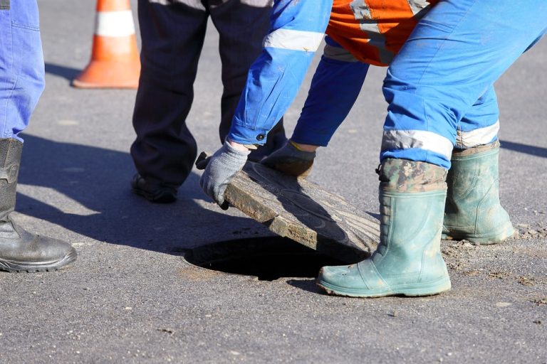 The C-42 Sanitation License Guide