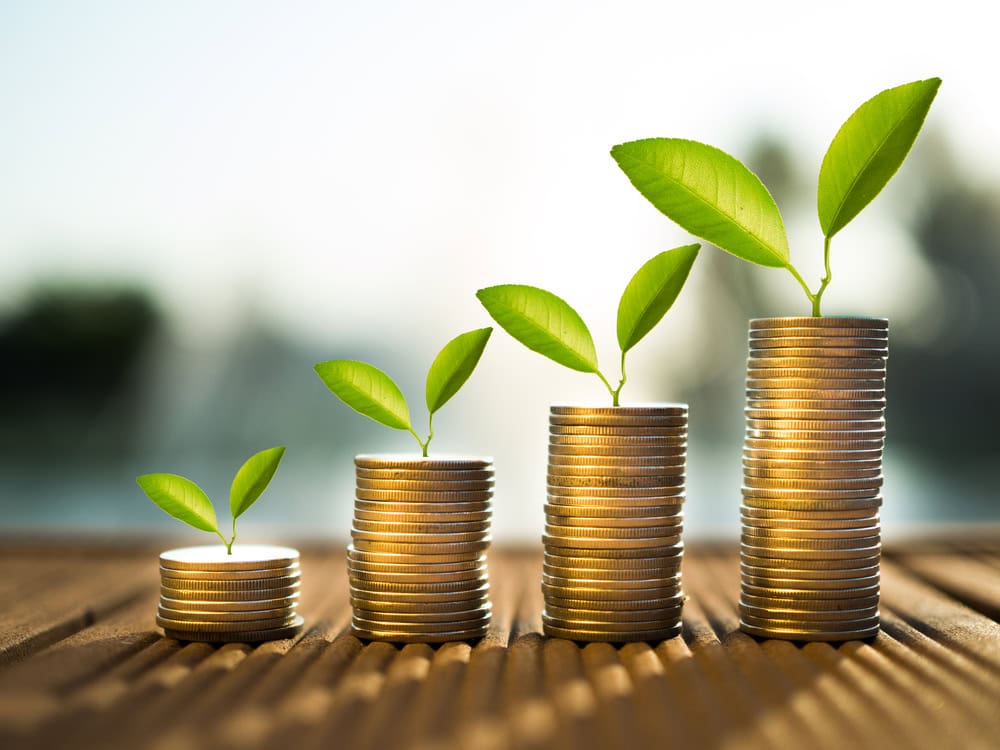 Mastering Financial Management for Contractors: A Comprehensive Guide