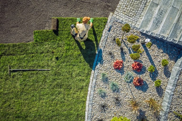 Top 5 Growing Contractor Specialties in California