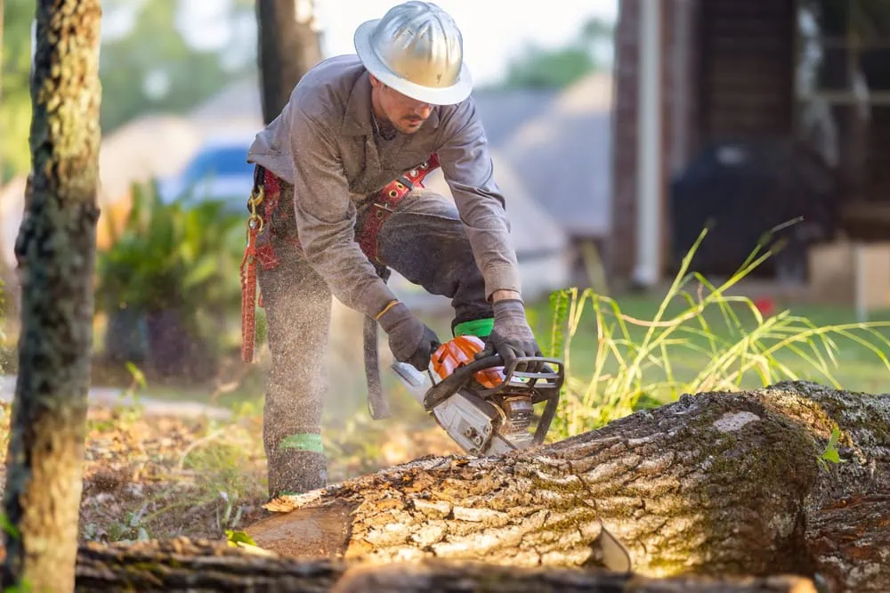 How to Add a Classification to Your Existing Contractor License